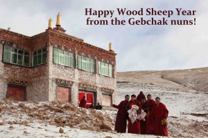 Happy Wood Sheep Year